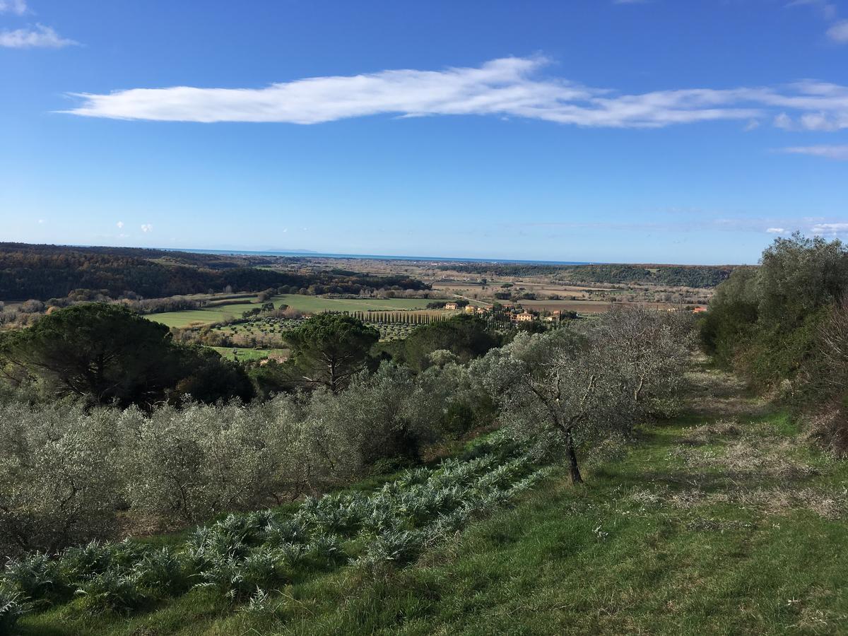 Agriturismo Le Serre Рипарбелла Экстерьер фото